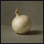 White Onion Still Life