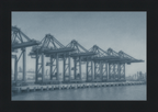 Cranes