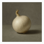 White Onion Still Life