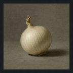 White Onion Still Life