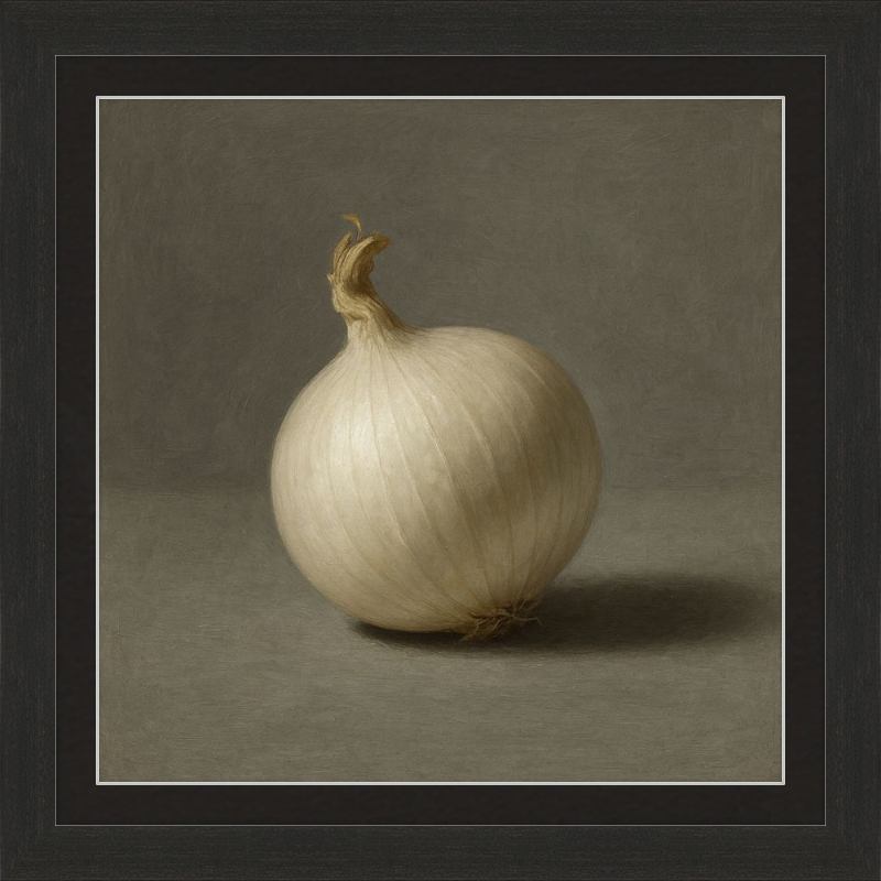 White Onion Still Life