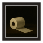 Toilet Roll