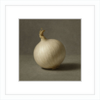 White Onion Still Life