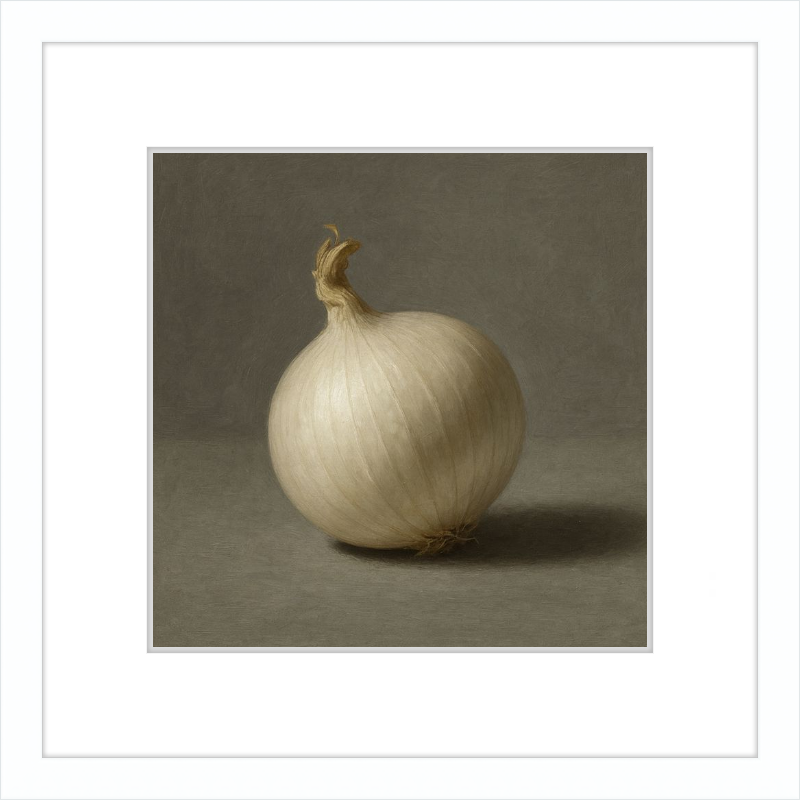 White Onion Still Life
