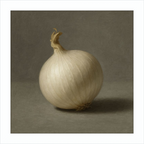 White Onion Still Life