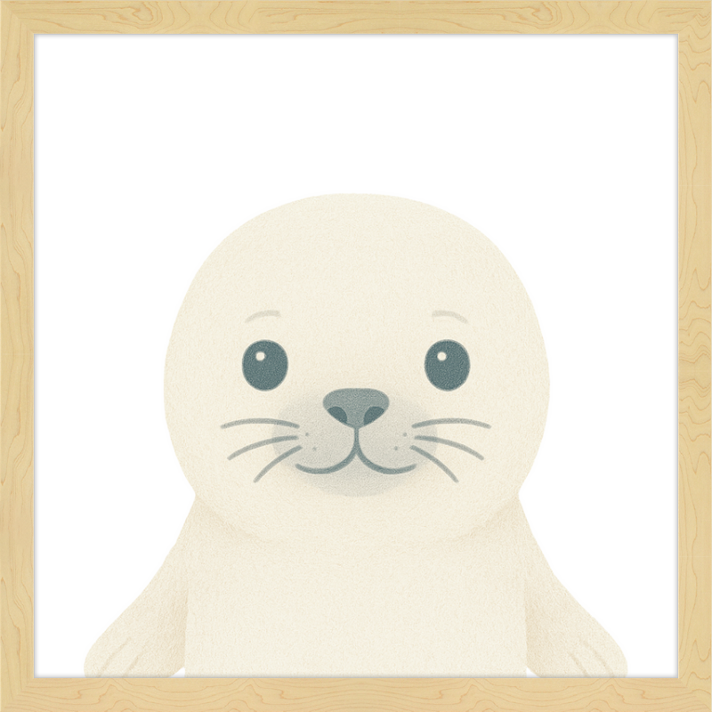 Baby Seal