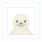 Baby Seal