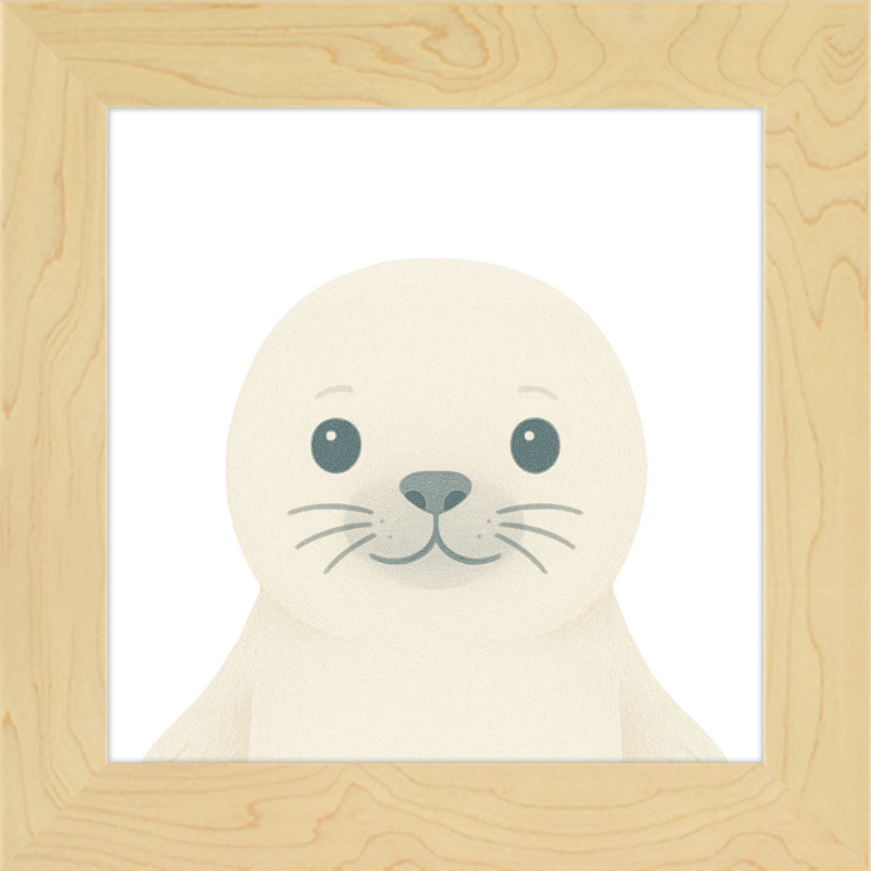 Baby Seal