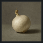 White Onion Still Life