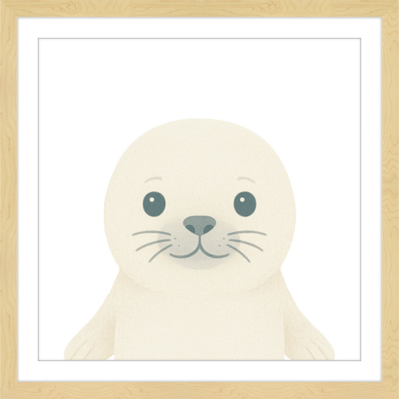 Baby Seal