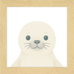 Baby Seal