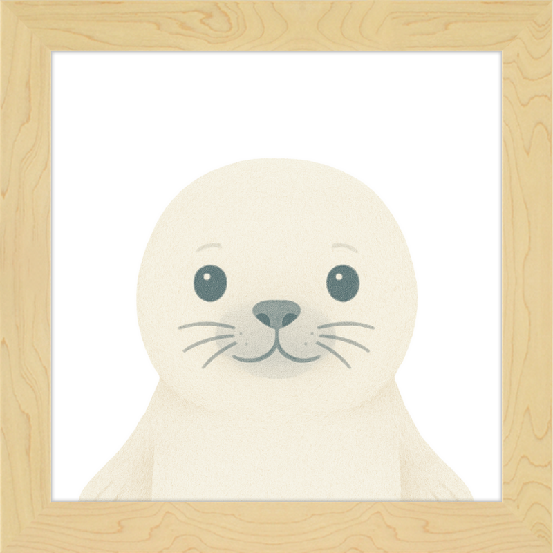 Baby Seal
