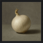 White Onion Still Life